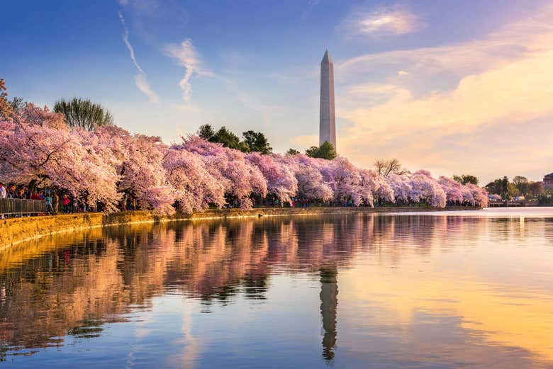 Washington Monument depuis l'eau