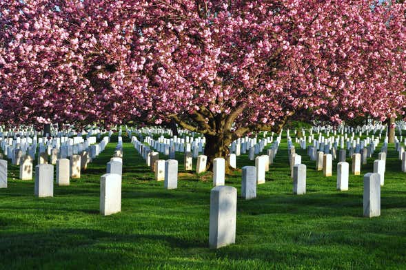 Visite du Cimetière d'Arlington et des Mémoriaux de Washington