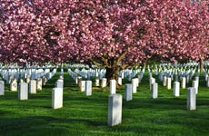 Arlington Cemetery & DC War Memorials Tour