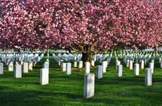 Arlington Cemetery & DC War Memorials Tour