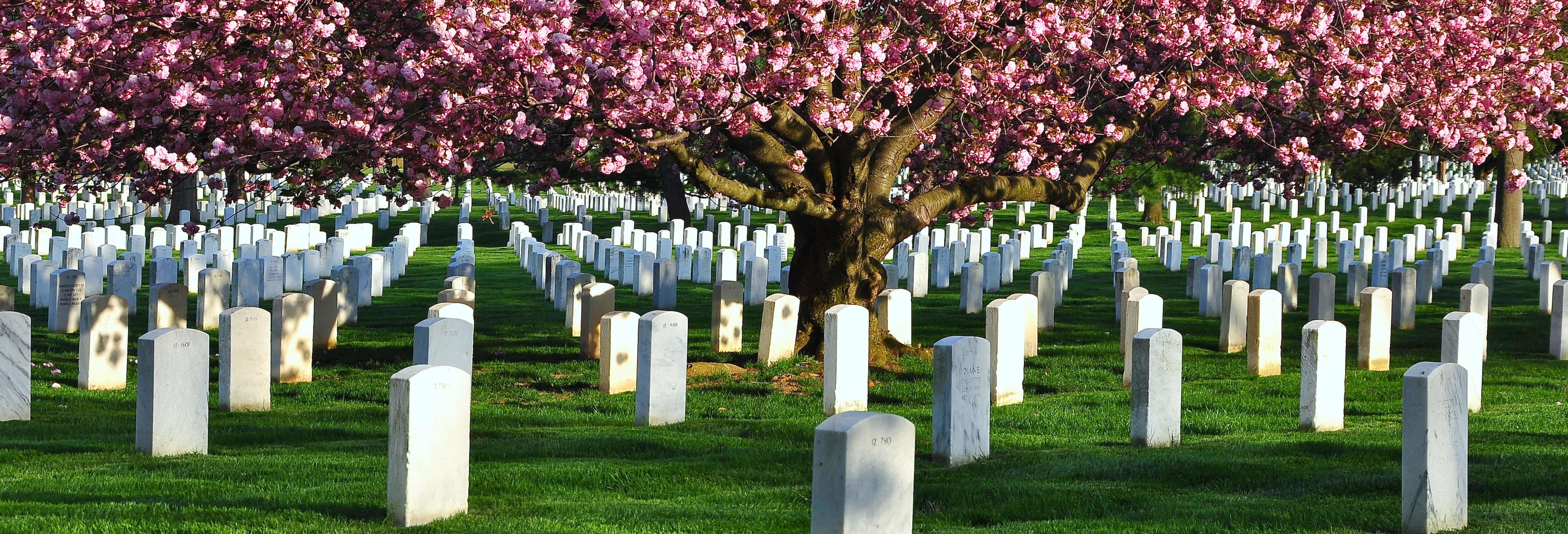 Guided tours and free tours in Washington DC
