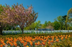 Arlington Cemetery Train Tour