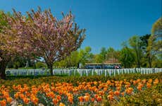 Arlington Cemetery Train Tour