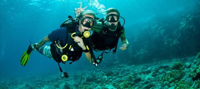 Beginners Scuba Dive in West Palm Beach