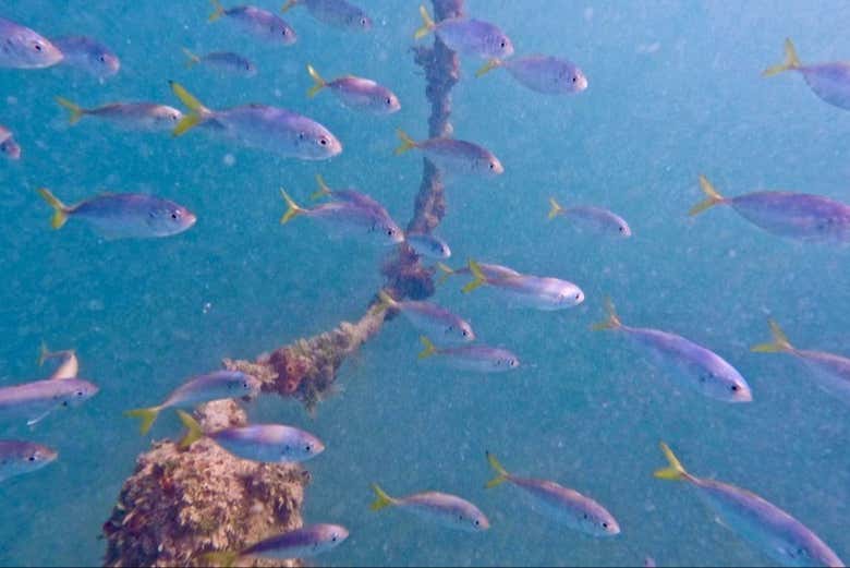 Make the most of your time in West Palm Beach