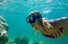 Snorkeling à West Palm Beach