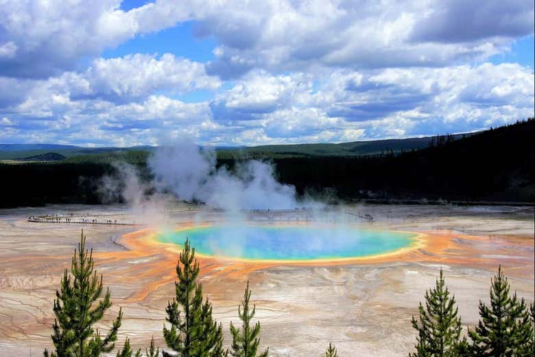 Celestine Pool, en Yellowstone