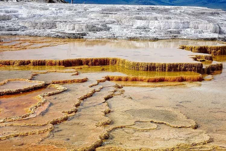 Mammoth Hot Springs 