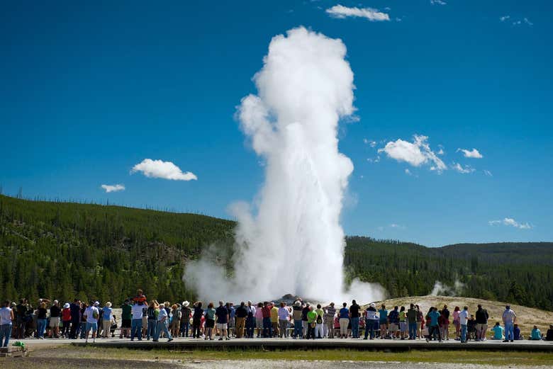Viendo la erupción de un géiser en Yellowstone