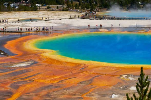 Tour por el sur del Parque Nacional Yellowstone