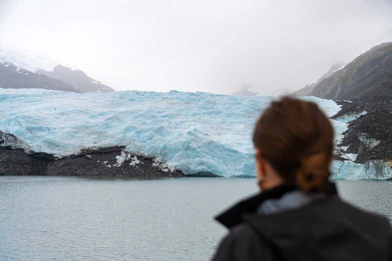 Veréis el glaciar Portage desde un lugar inmejorable