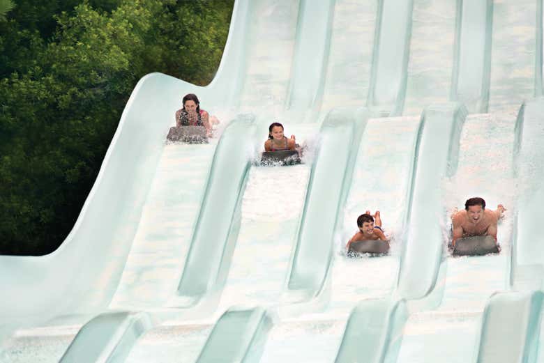 Nitro Rider, à Water Country USA
