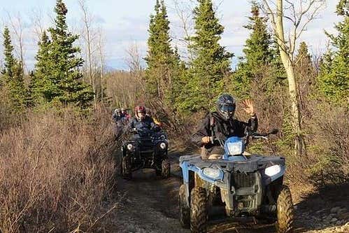 Explore the Alaskan wilderness