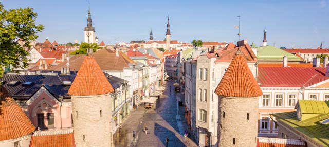 Free tour por Tallin