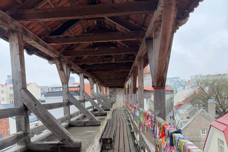 See the best of Tallinn?