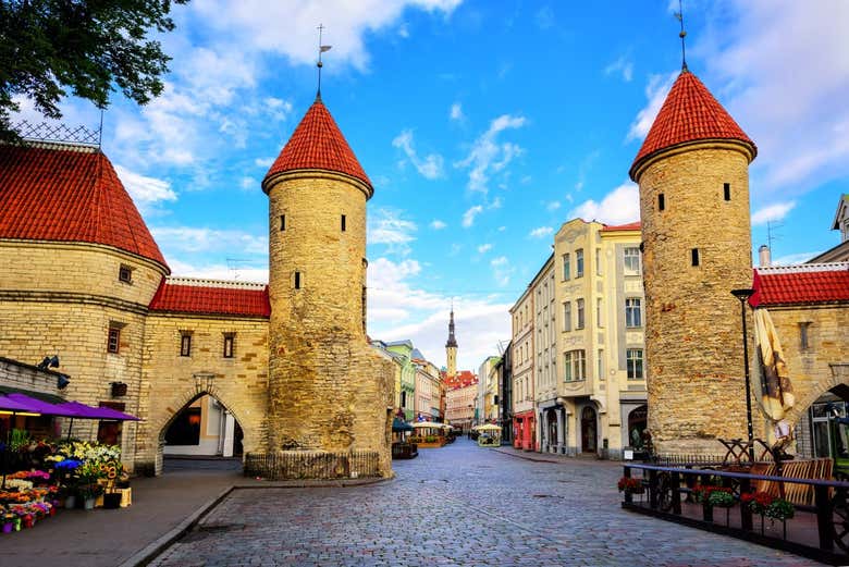 Visita guiada por Tallin.
