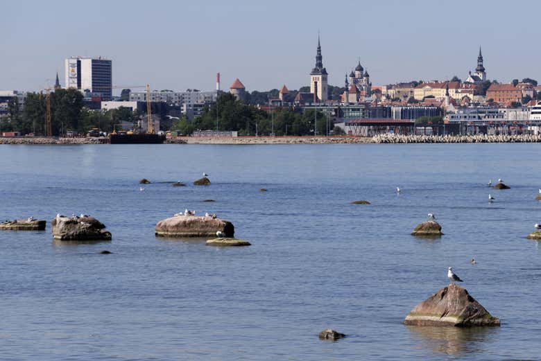 Panorámica de Tallin desde el mar