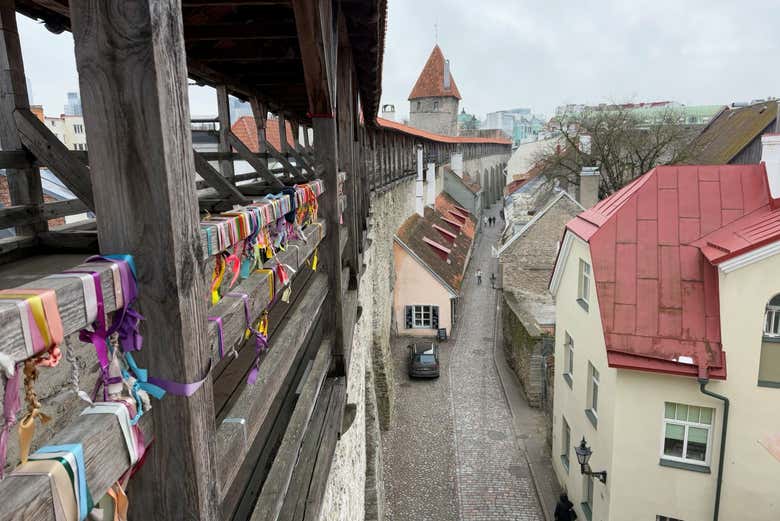 The views from the Hellemann Tower