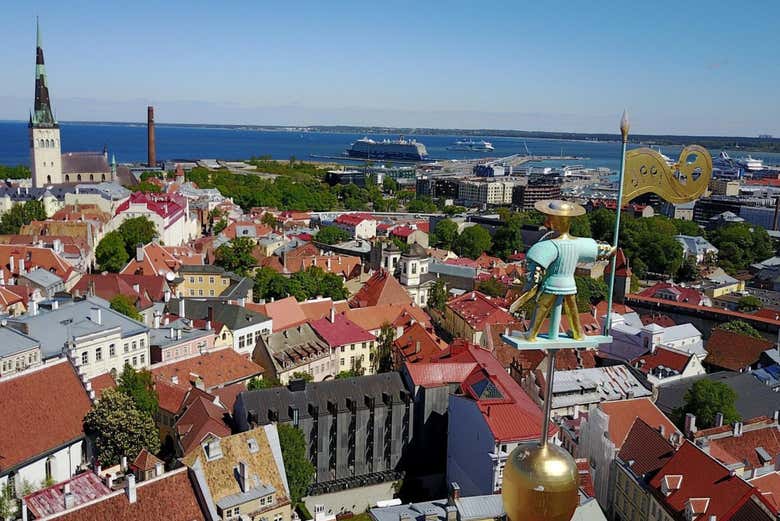 Take in the breathtaking panoramic views of Tallinn's red roofs