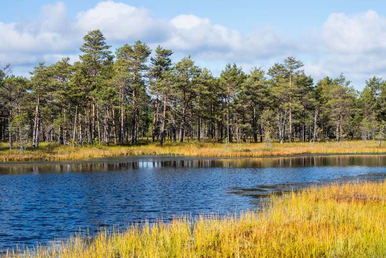 Paisajes del Parque Nacional de Lahemaa