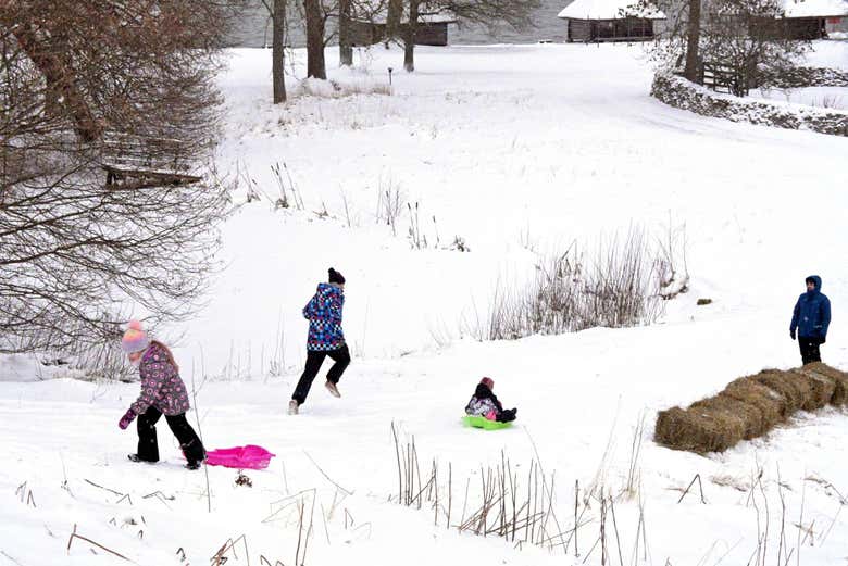 Passeio de trenó no Museu ao Ar Livre da Estônia