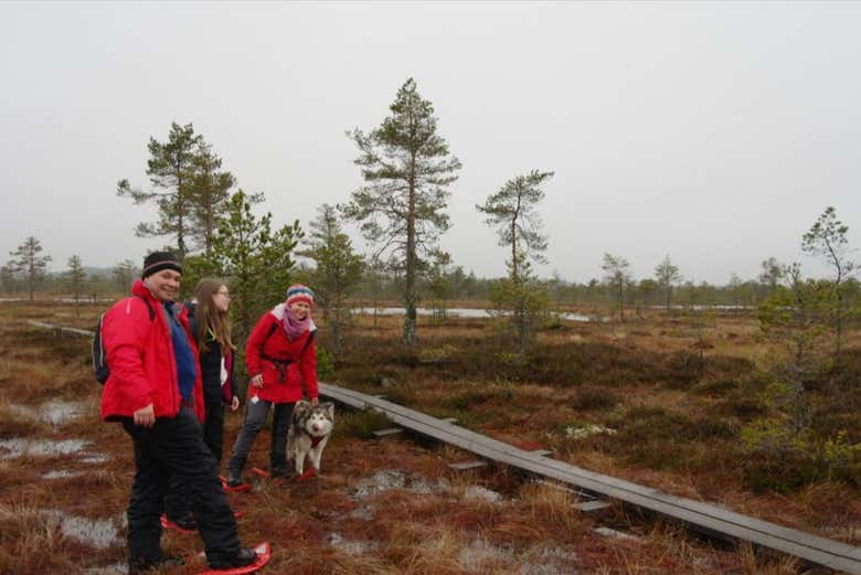 Conhecendo os arredores de Tallinn