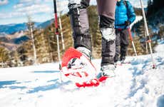 Paseo con raquetas de nieve por los bosques de Tallin