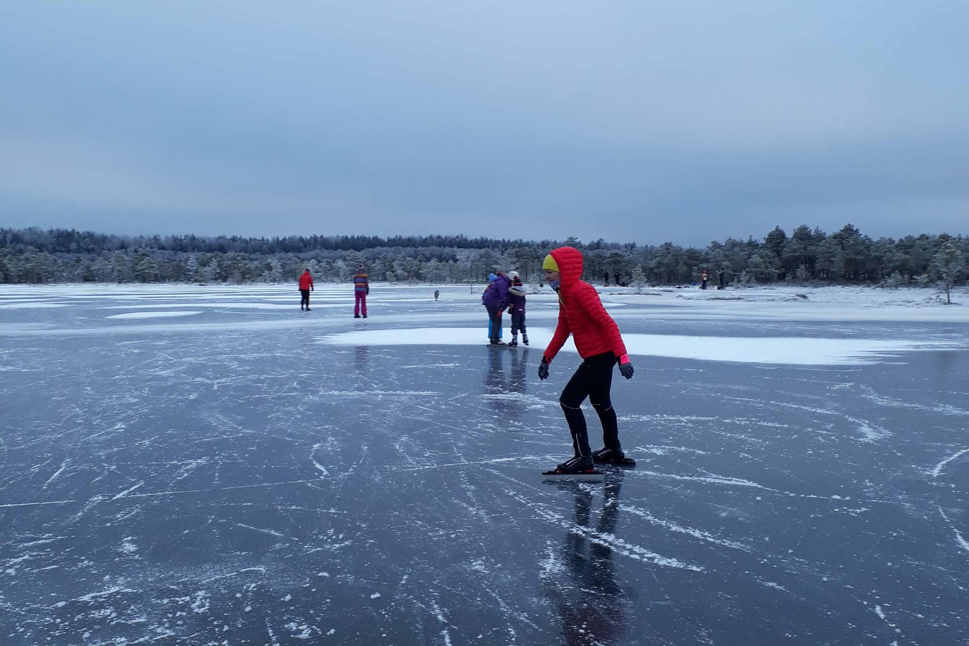 Ice Skating in Tallinn Book Online at