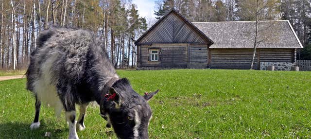 Tour por el Museo al Aire Libre de Estonia