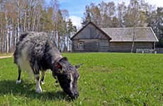 Tour por el Museo al Aire Libre de Estonia