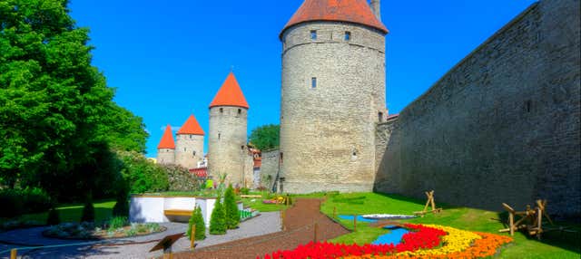 Tour por Tallin para cruceros