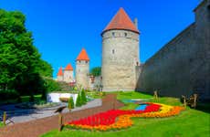 Tour por Tallin para cruceros