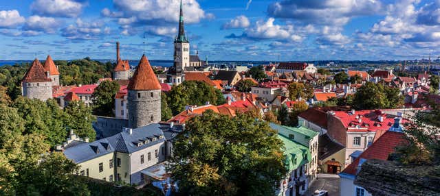 Visita guiada por Tallin