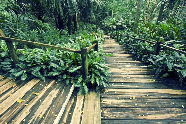 Caminhos do Jardim do Gigante Adormecido