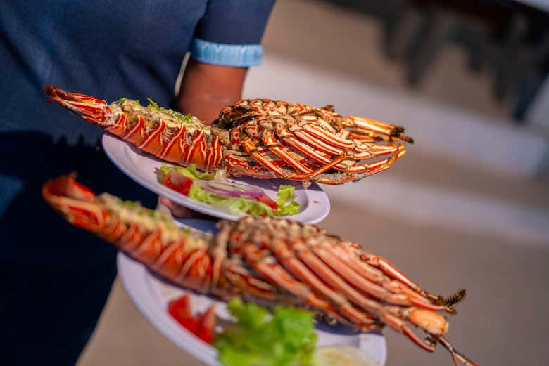 Lagosta que você poderá provar a bordo