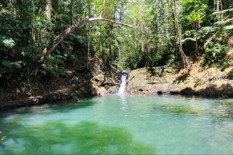 Take a refreshing dip