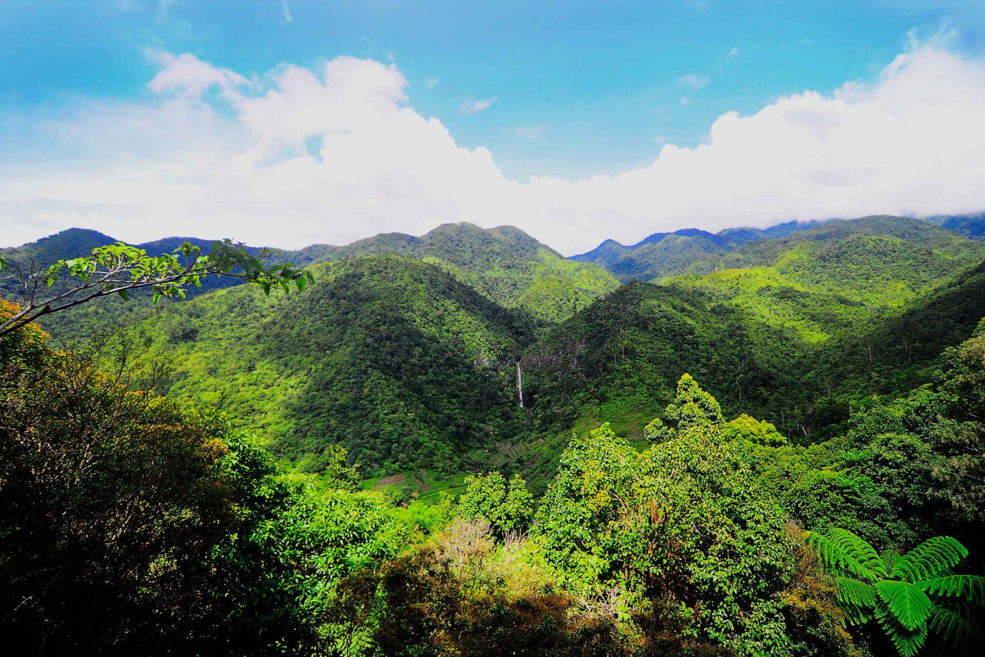 Excursion à Salvador Benedicto