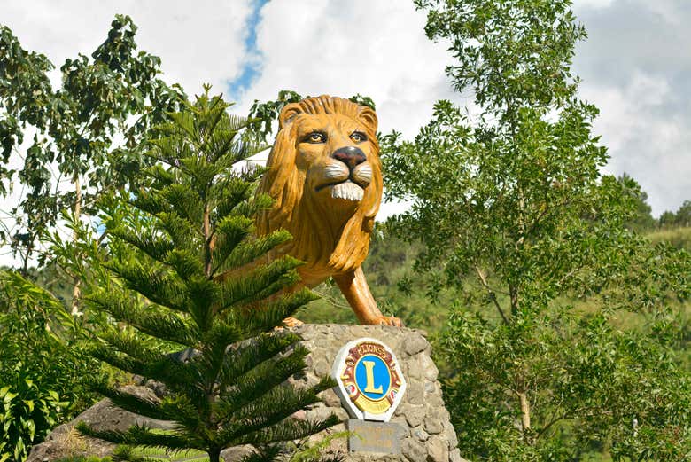 Visite du point de vue du Lion's Deck