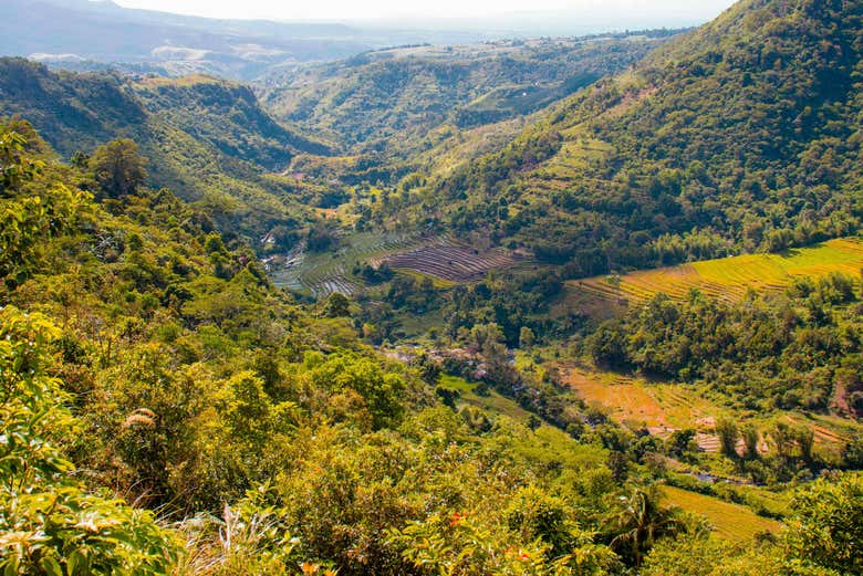 Parc naturel de Northern Negros