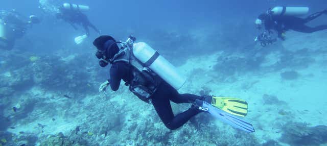 Bautismo de buceo en Bohol