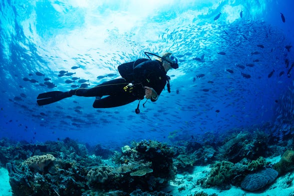 Bohol Scuba Diving
