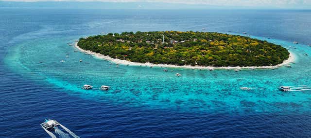 Excursion privée aux îles de Balicasag et Pamilacan