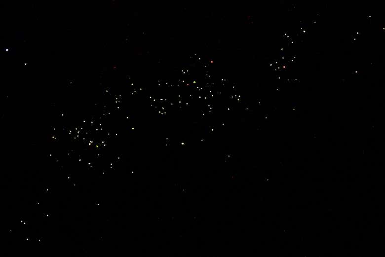 Lucciole che brillano di notte