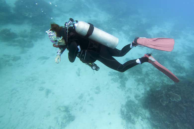 Buceando en las aguas de Bohol