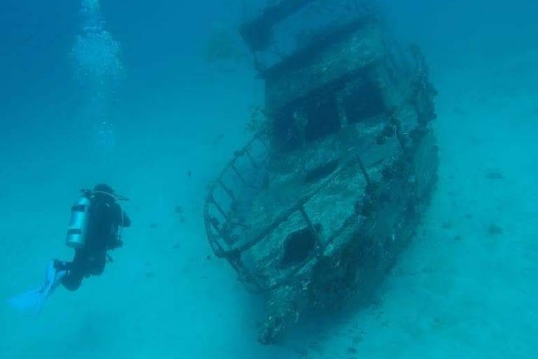 Exploring a shipwreck off the coast of Bohol