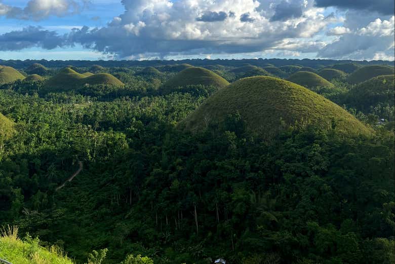 Chocolate Hills