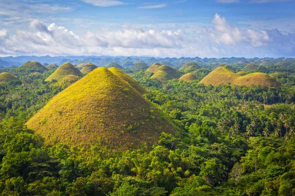 Bohol Guided Tour