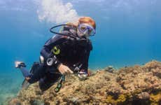 Boracay Beginners Scuba Diving