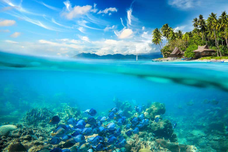 Les magnifiques fonds marins de Boracay