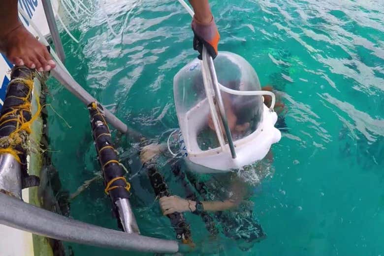 Prêt pour l'immersion